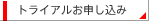 �g���C�A�����\������
